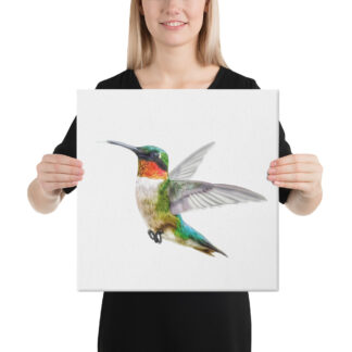 Humming Bird Canvas - 16x16 - Illustration by Pablo Prada