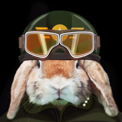 Captain Rabbit Helmet & Goggles by Pablo Prada