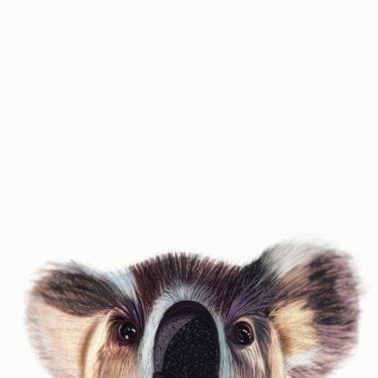 Cute Koala Poster by Pablo Prada