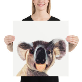 Koala Poster - 18x18 by Pablo Prada